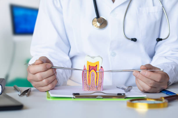 Best Emergency Dentist for Special Needs Patients in Geneva, IN